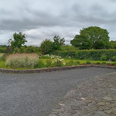 Conveniently Located House To Enjoy All Of Kerry Tralee Eksteriør billede