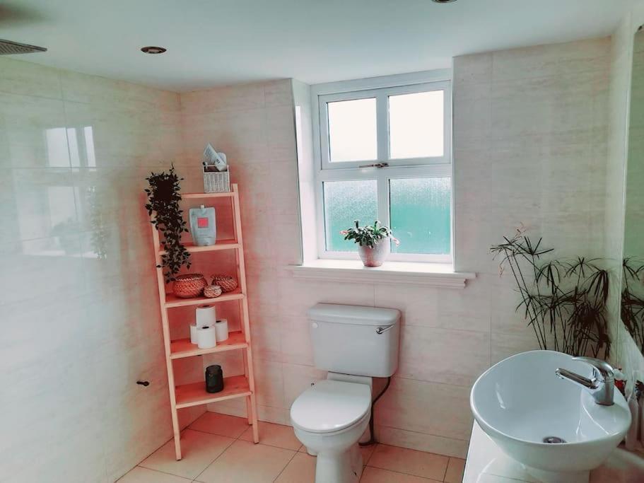 Conveniently Located House To Enjoy All Of Kerry Tralee Eksteriør billede