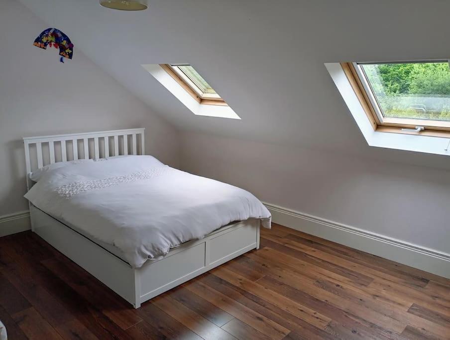 Conveniently Located House To Enjoy All Of Kerry Tralee Eksteriør billede