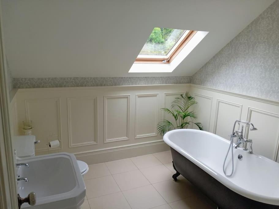 Conveniently Located House To Enjoy All Of Kerry Tralee Eksteriør billede