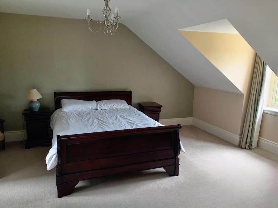 Conveniently Located House To Enjoy All Of Kerry Tralee Eksteriør billede