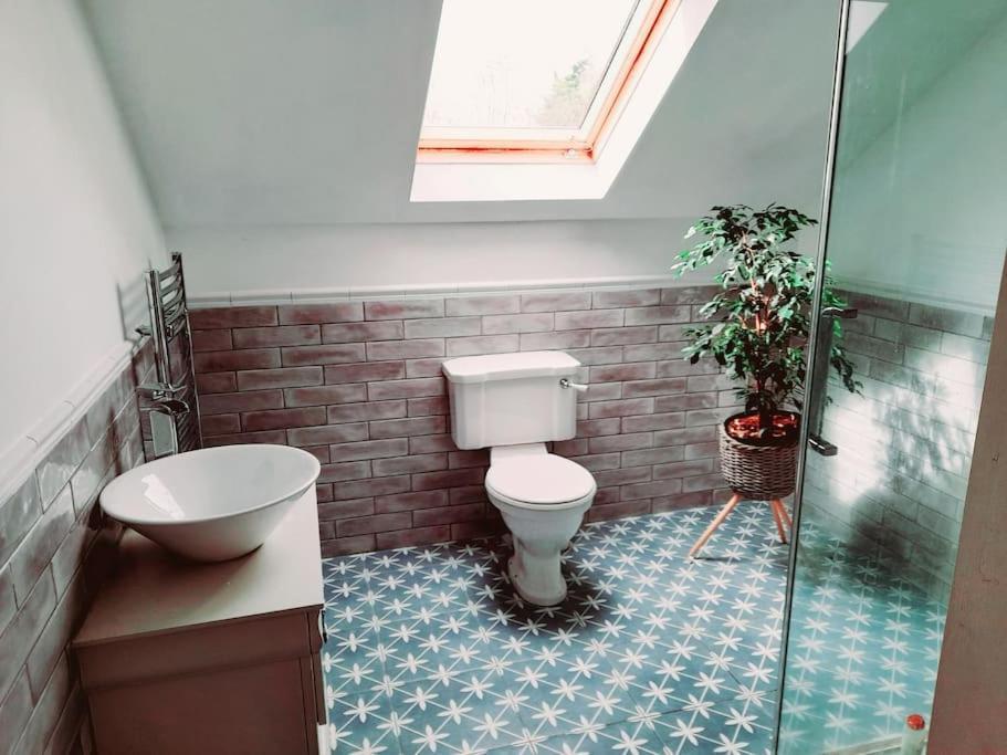 Conveniently Located House To Enjoy All Of Kerry Tralee Eksteriør billede